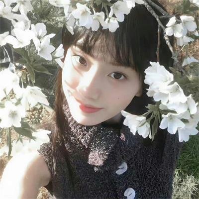 纸相机